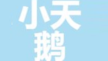 小天鹅（无锡）跨境电商有限公司 Little Swan (Wuxi) Stride into E-commerce Co., Ltd