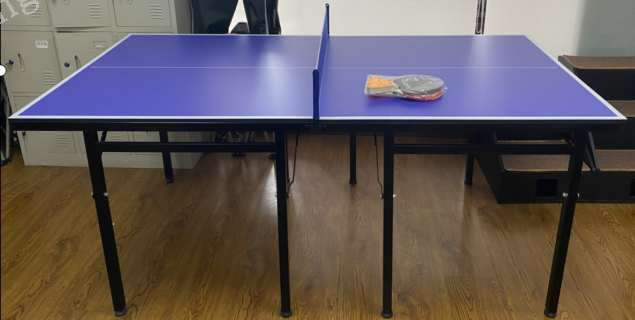 乒乓球桌Ping-Pong Table