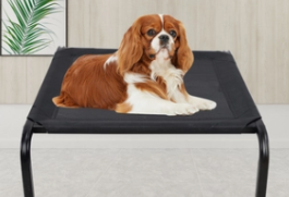 宠物铁架床Iron frame bed for pets