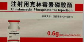 克林霉素磷酸酯CLINDAMYCIN PHOSPHATE